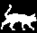 Cat walking